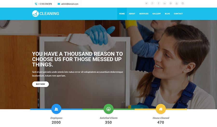 Cleaning Service Company WordPress Theme